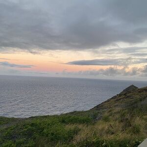 Meet your Posher, Robin